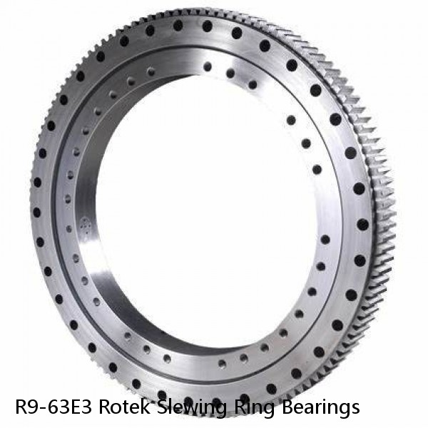 R9-63E3 Rotek Slewing Ring Bearings