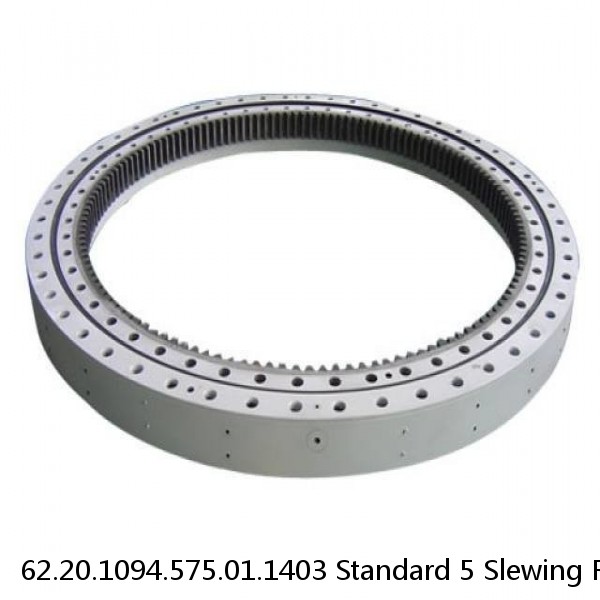62.20.1094.575.01.1403 Standard 5 Slewing Ring Bearings