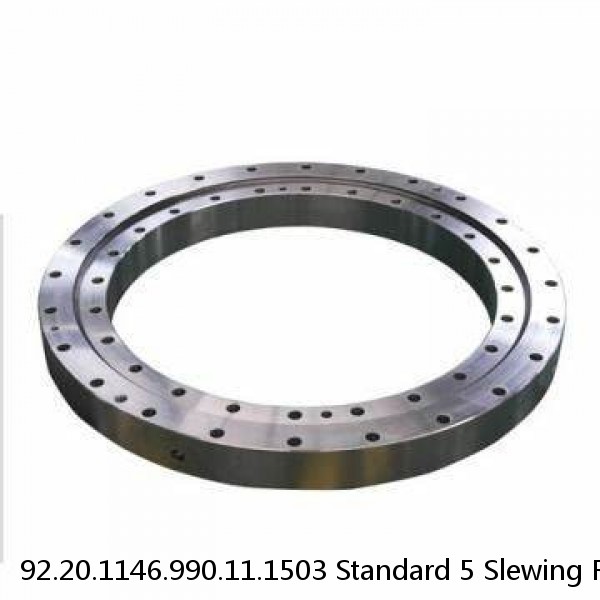 92.20.1146.990.11.1503 Standard 5 Slewing Ring Bearings