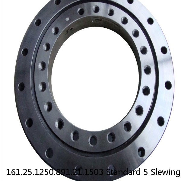161.25.1250.891.21.1503 Standard 5 Slewing Ring Bearings