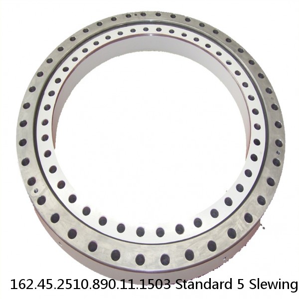 162.45.2510.890.11.1503 Standard 5 Slewing Ring Bearings