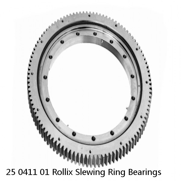 25 0411 01 Rollix Slewing Ring Bearings