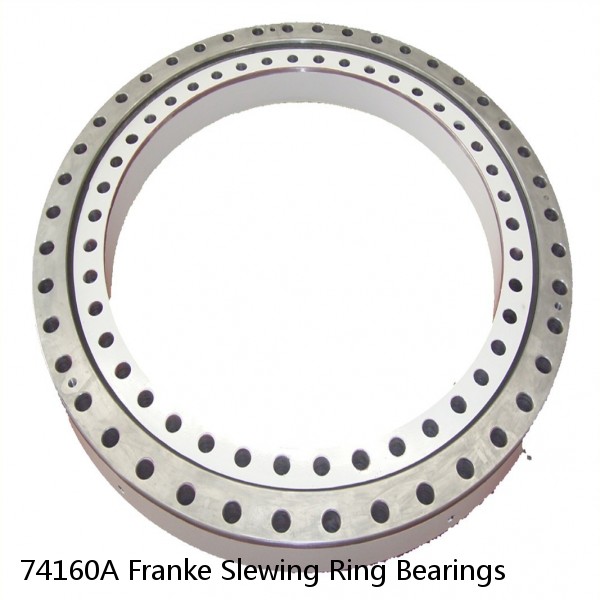 74160A Franke Slewing Ring Bearings