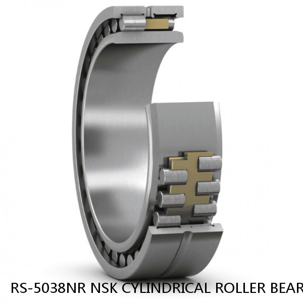RS-5038NR NSK CYLINDRICAL ROLLER BEARING
