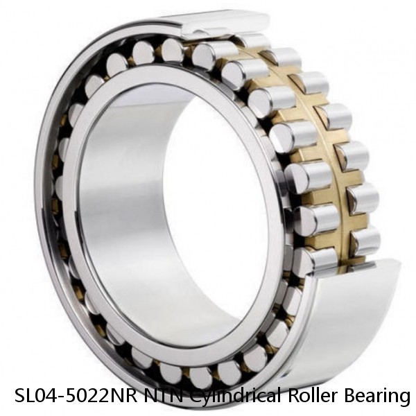 SL04-5022NR NTN Cylindrical Roller Bearing