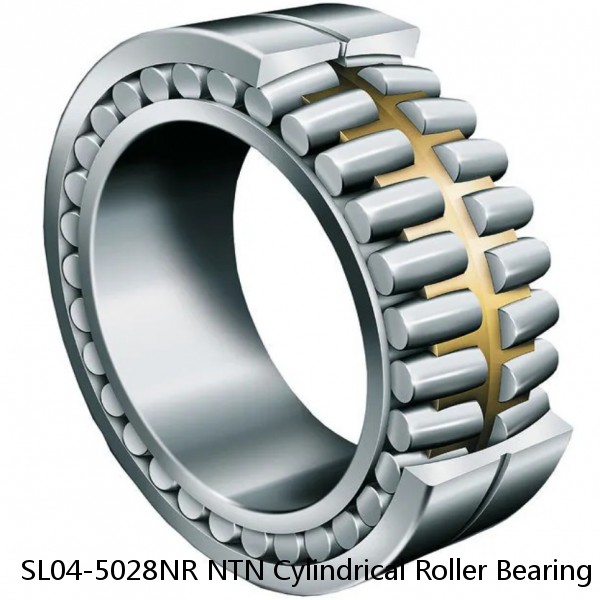 SL04-5028NR NTN Cylindrical Roller Bearing
