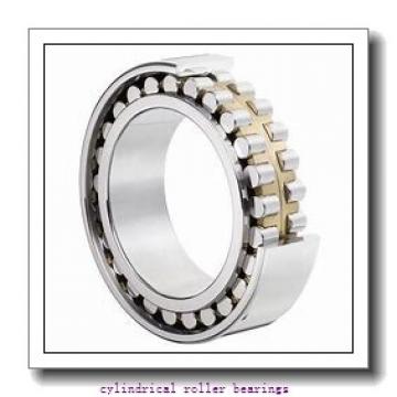 1.575 Inch | 40 Millimeter x 3.543 Inch | 90 Millimeter x 0.906 Inch | 23 Millimeter  LINK BELT MA1308EXC4M  Cylindrical Roller Bearings