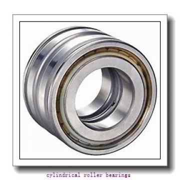 2.559 Inch | 65 Millimeter x 4.724 Inch | 120 Millimeter x 1.5 Inch | 38.1 Millimeter  LINK BELT MU5213TV  Cylindrical Roller Bearings