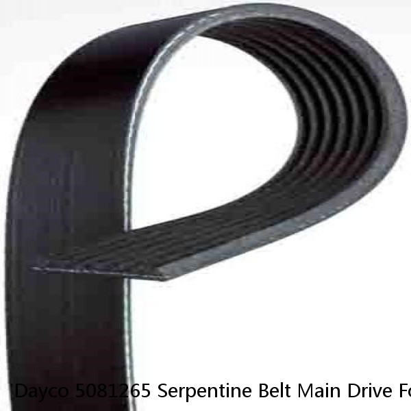 Dayco 5081265 Serpentine Belt Main Drive For 94-04 3800 4600 4700 4700LP 4700LPX