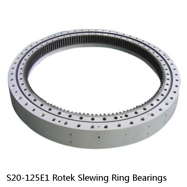 S20-125E1 Rotek Slewing Ring Bearings