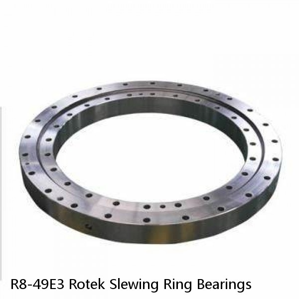 R8-49E3 Rotek Slewing Ring Bearings