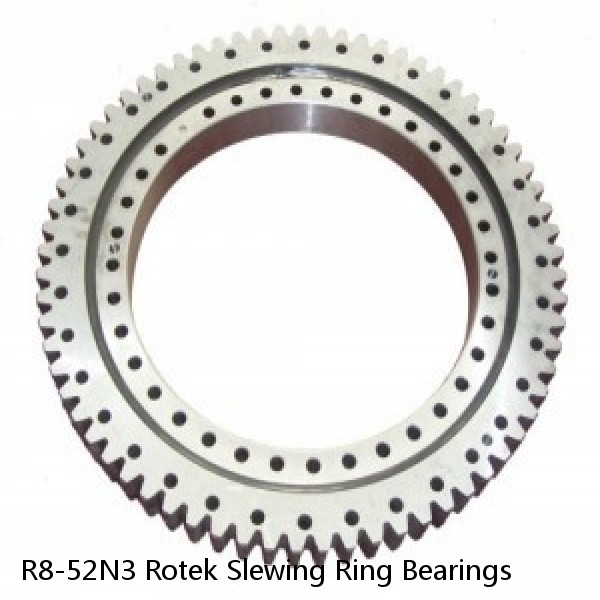 R8-52N3 Rotek Slewing Ring Bearings