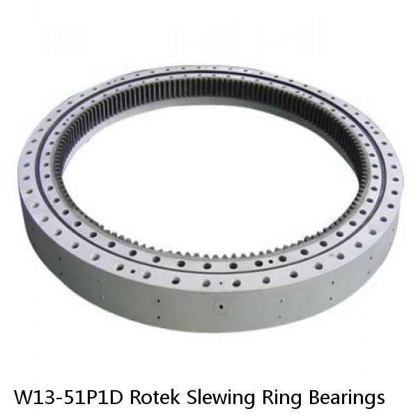 W13-51P1D Rotek Slewing Ring Bearings