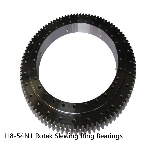 H8-54N1 Rotek Slewing Ring Bearings