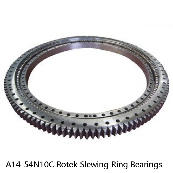 A14-54N10C Rotek Slewing Ring Bearings