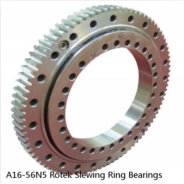 A16-56N5 Rotek Slewing Ring Bearings