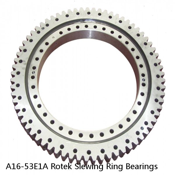 A16-53E1A Rotek Slewing Ring Bearings