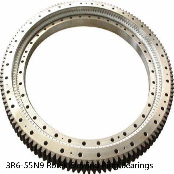 3R6-55N9 Rotek Slewing Ring Bearings