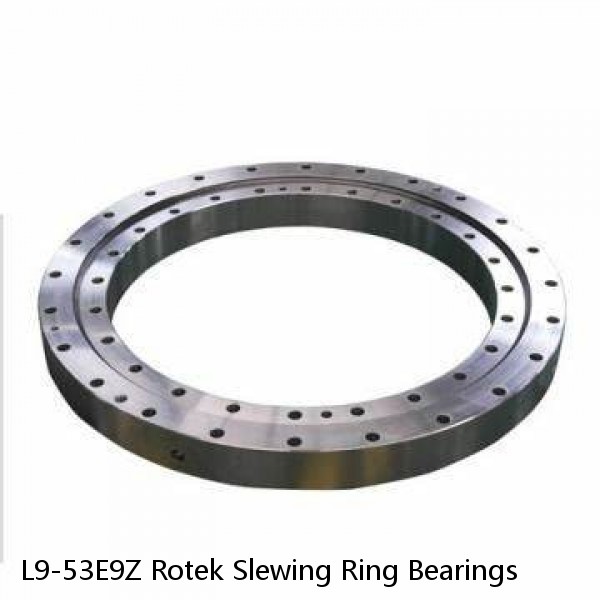 L9-53E9Z Rotek Slewing Ring Bearings