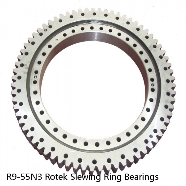 R9-55N3 Rotek Slewing Ring Bearings