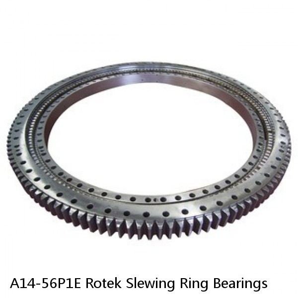 A14-56P1E Rotek Slewing Ring Bearings