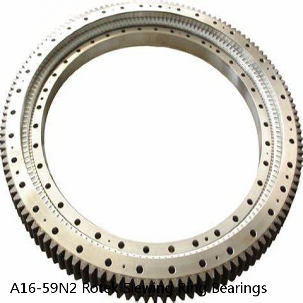 A16-59N2 Rotek Slewing Ring Bearings