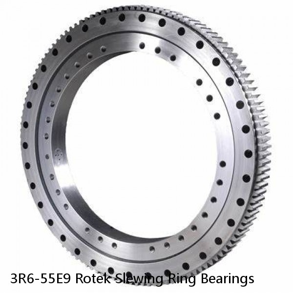 3R6-55E9 Rotek Slewing Ring Bearings