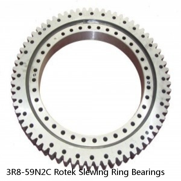 3R8-59N2C Rotek Slewing Ring Bearings