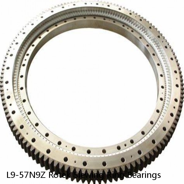 L9-57N9Z Rotek Slewing Ring Bearings