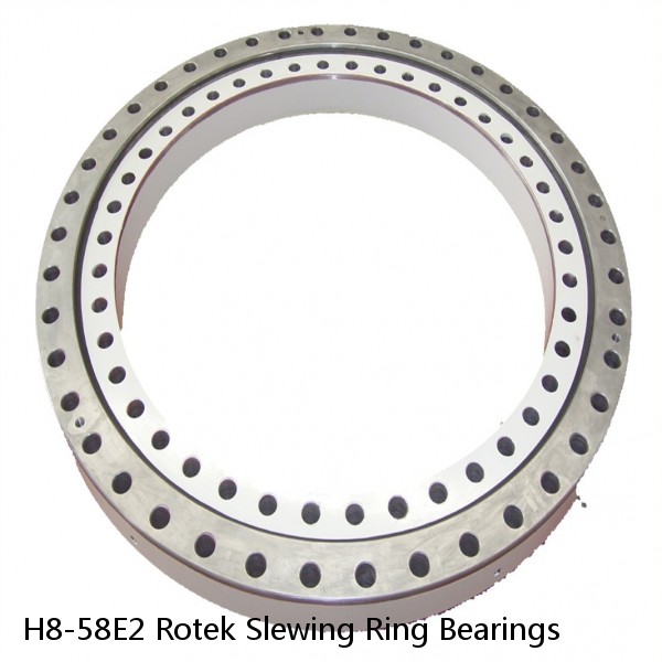 H8-58E2 Rotek Slewing Ring Bearings