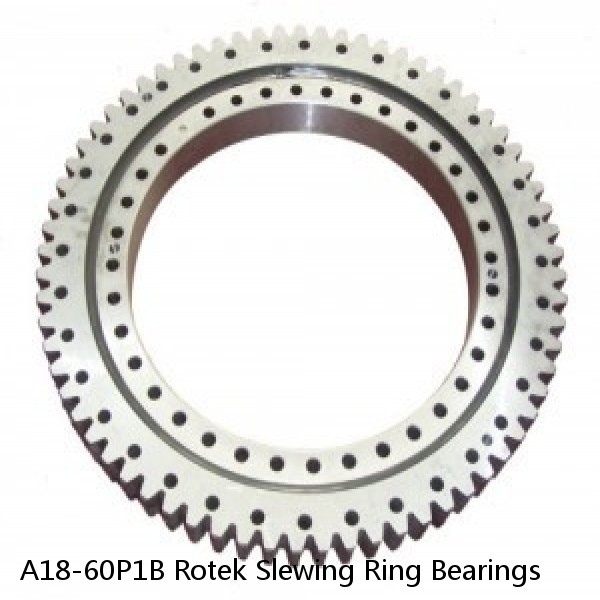 A18-60P1B Rotek Slewing Ring Bearings