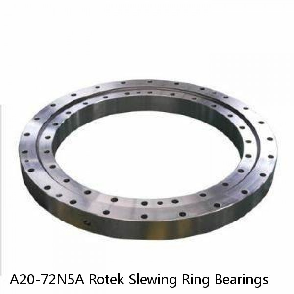 A20-72N5A Rotek Slewing Ring Bearings