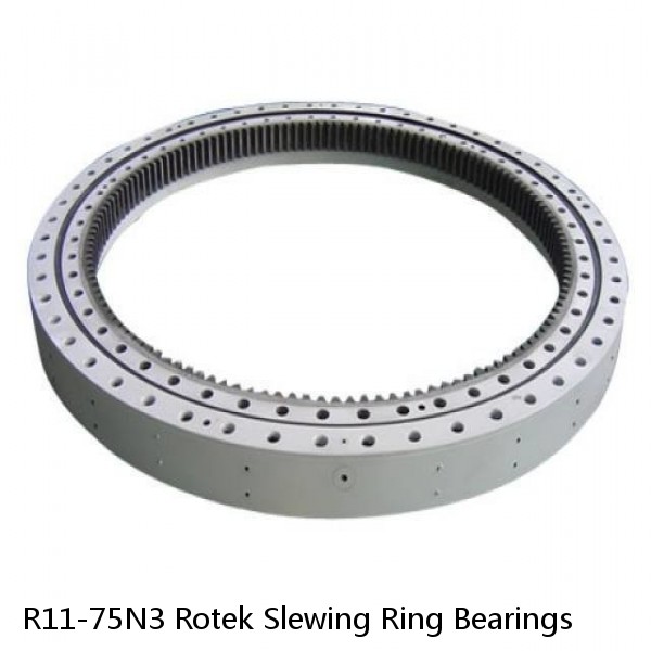 R11-75N3 Rotek Slewing Ring Bearings