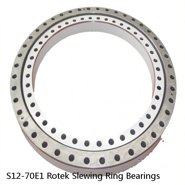 S12-70E1 Rotek Slewing Ring Bearings