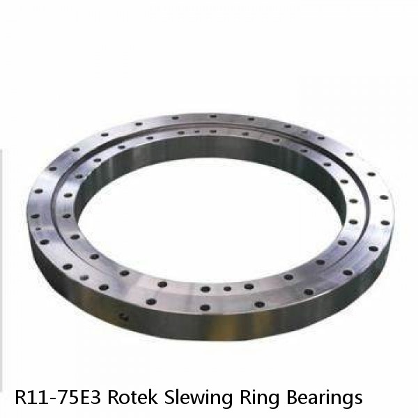 R11-75E3 Rotek Slewing Ring Bearings