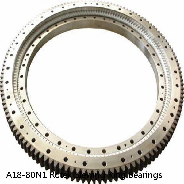 A18-80N1 Rotek Slewing Ring Bearings