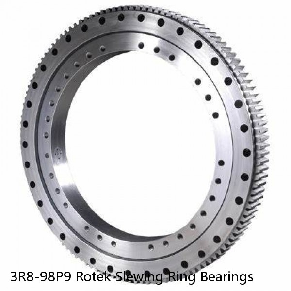 3R8-98P9 Rotek Slewing Ring Bearings