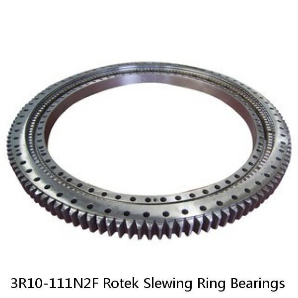 3R10-111N2F Rotek Slewing Ring Bearings