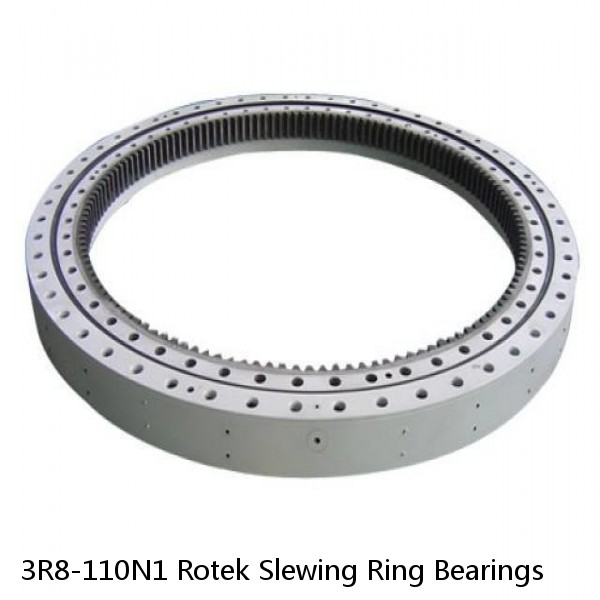 3R8-110N1 Rotek Slewing Ring Bearings