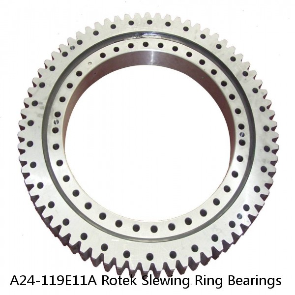 A24-119E11A Rotek Slewing Ring Bearings