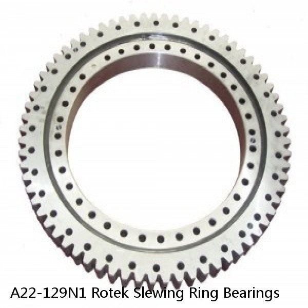 A22-129N1 Rotek Slewing Ring Bearings