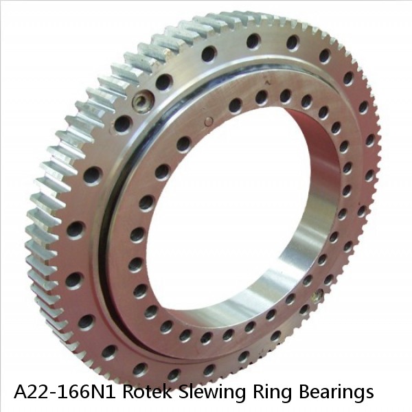 A22-166N1 Rotek Slewing Ring Bearings