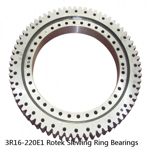 3R16-220E1 Rotek Slewing Ring Bearings