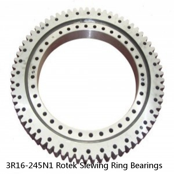 3R16-245N1 Rotek Slewing Ring Bearings