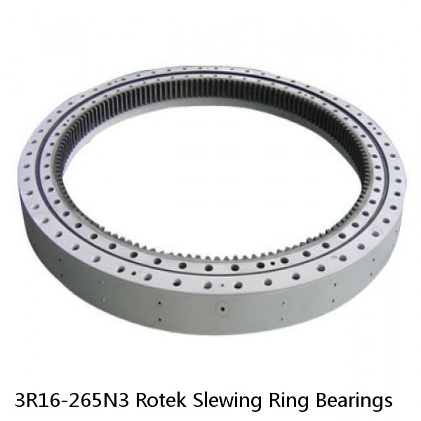 3R16-265N3 Rotek Slewing Ring Bearings