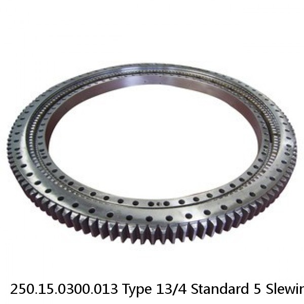 250.15.0300.013 Type 13/4 Standard 5 Slewing Ring Bearings