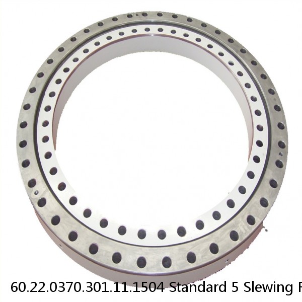 60.22.0370.301.11.1504 Standard 5 Slewing Ring Bearings