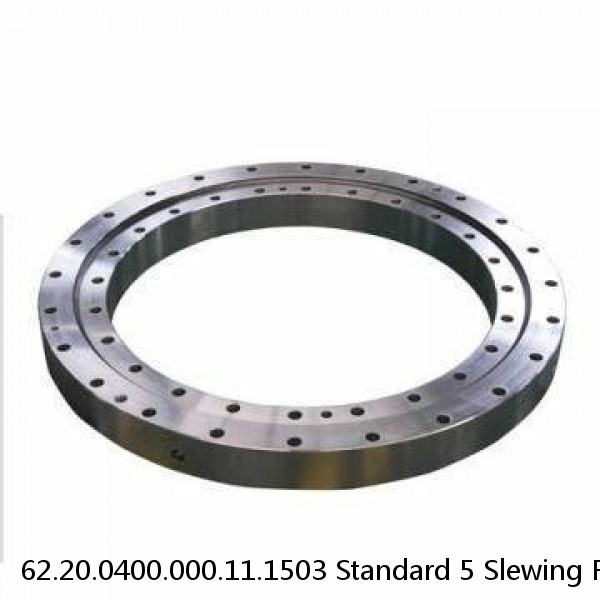 62.20.0400.000.11.1503 Standard 5 Slewing Ring Bearings