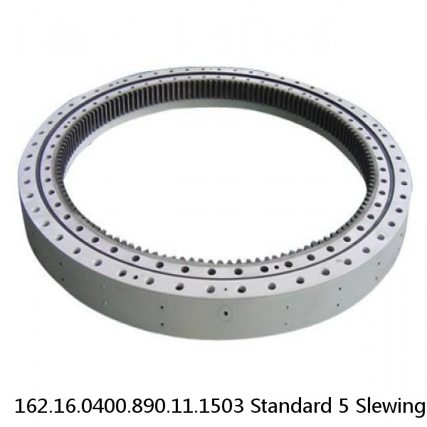 162.16.0400.890.11.1503 Standard 5 Slewing Ring Bearings