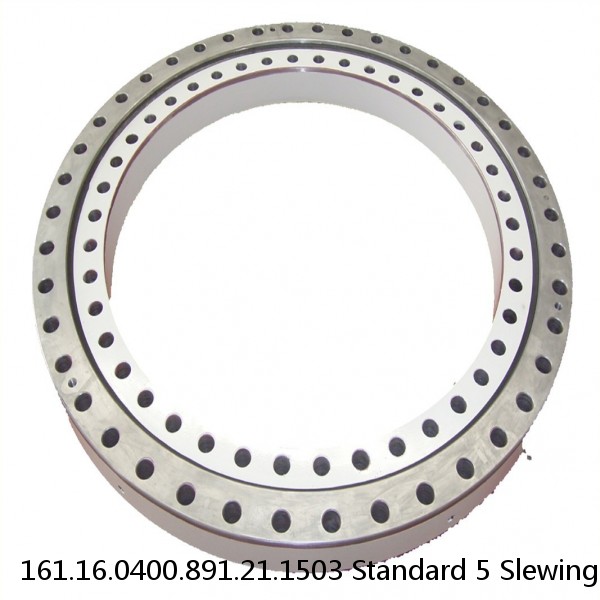 161.16.0400.891.21.1503 Standard 5 Slewing Ring Bearings